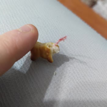 Bim Krınkıl Balık Kraker