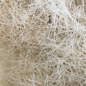 Gazioğlüçler Kadayıf Paketinde Ağır Koku Ve İçinden Çıkan Değişik Parçalar