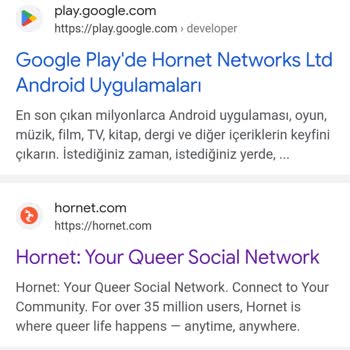Hornet.com Hornet Programı Fake Kimlik Şikayeti