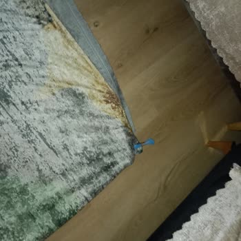 Halı Örtüsü Alemi Yanlış Dikim Yapmış, Ulaşılmıyor