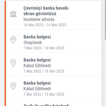 Payoneer Çevrim İçi Banka Ekran Görüntüsü Hala İnceleme Altında Onaylansın