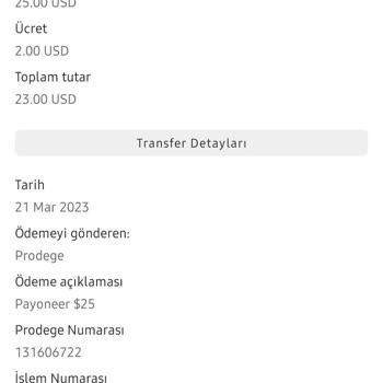 Ysense Payoneer 25 Dolar Hesabıma Geçmedi