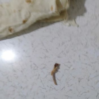 Et ve Süt Kurumu Tavuk Dönerin İçinden Çıkan Kemik