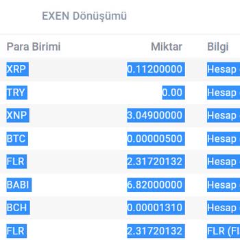 Bitexen'de Paralar Kayıp