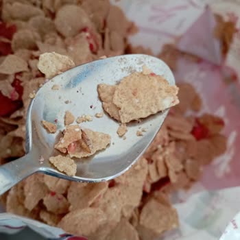 Kellogg's Paketinde Böcek Var