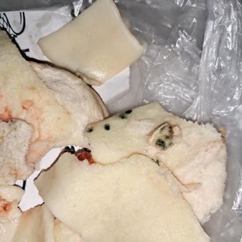 Yalı Cafe (Sığacık) Tosttan Çıkan Küflü Peynir