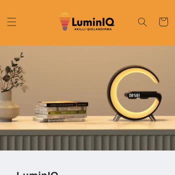 Theluminiq.net Ürün Teslim Sorunu