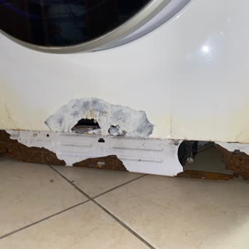 Vestel'in müşterilerine Karşı Olumsuz Tutumu!