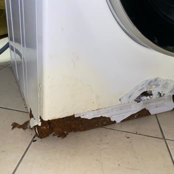 Vestel'in müşterilerine Karşı Olumsuz Tutumu!