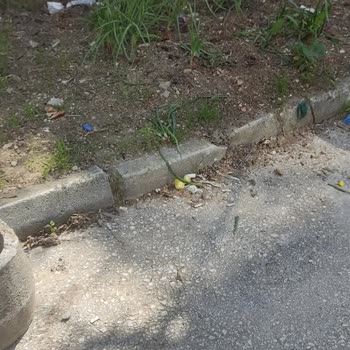 Osmangazi Belediyesi Moloz Ve Taşlar