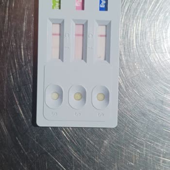 Turkey Puppies Köpek İade Almıyorlar