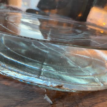 Damla Su Küflü Tortu Sorunu