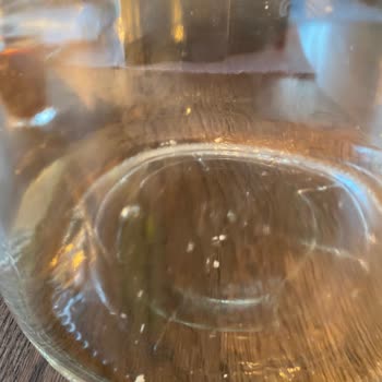 Damla Su Küflü Tortu Sorunu