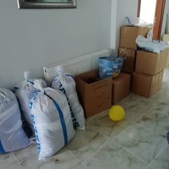 Şanlıurfa Fidan Nakliyat Fidan Nakliyat Şanlıurfa Uzak Durmak Lazım!