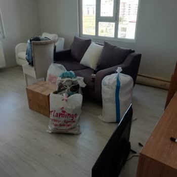 Şanlıurfa Fidan Nakliyat Fidan Nakliyat Şanlıurfa Uzak Durmak Lazım!