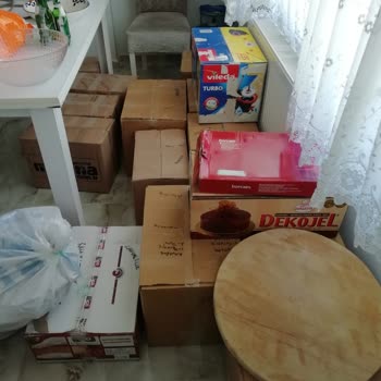 Şanlıurfa Fidan Nakliyat Fidan Nakliyat Şanlıurfa Uzak Durmak Lazım!