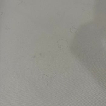 Marriott Hotels Pis Odalar