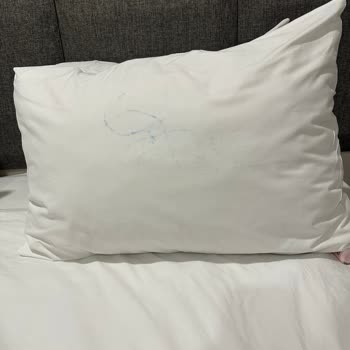 Marriott Hotels Pis Odalar