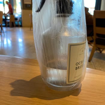 Chakra Bir Daha Asla