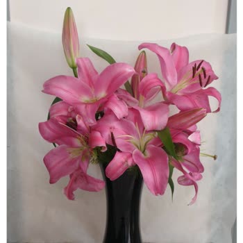 ÇiçekSepeti Yapılamayan Aranjman, Çözüm Üretmeyen Çağrı Merkezi