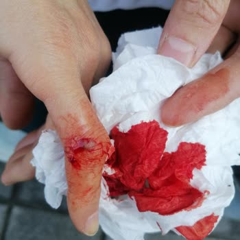 Makbul Kuruyemiş Sorumsuzluk, İlgisizlik, Saygısızlık, Umursamamak