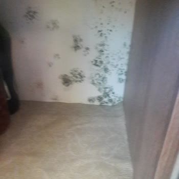 ECA Sorun Ve İlgisizliği