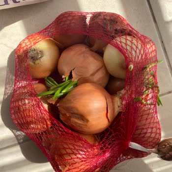 Getir Bozuk Ürün Gönderilmesi Ve İade Talebim