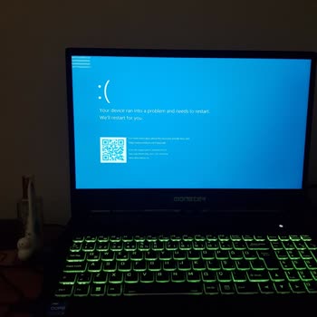 Monster Mavi Ekran Hatası