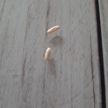 Kappadokia Markalı Yulaf Ezmesindeki Kalitesizlik