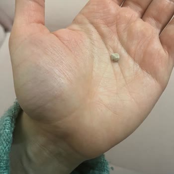 Taraklı Abaza Peynirinde Fayans Parçası