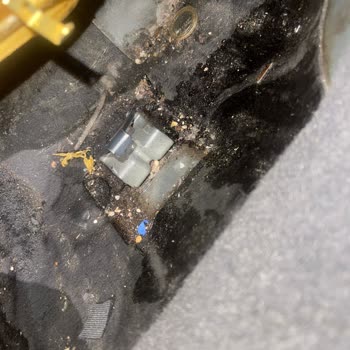 Autoshine Araç Detaylı Temizlik