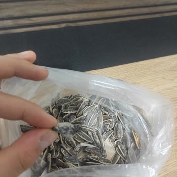 Tatlıbak Ürünün İçinden Kocaman Taş Çıktı!