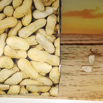 Çerezya Ürün Şikayet Kurtlu Çıktı