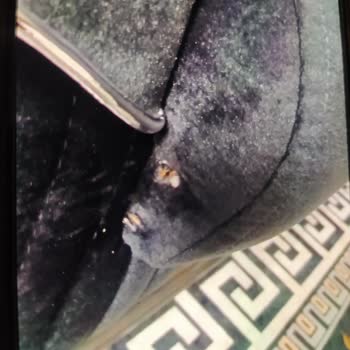 Gülen Mobilya Hasarlı Gönderilen Üründeki İademizi Gerçekleştirmemeleri