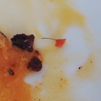 Bim Emin Işıl İşlem Görmüş Dana Baton Sucuk