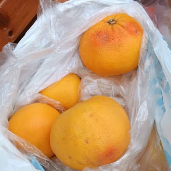 A101 Kapıda Çürük Sebze Getirip İademi Günlerdir Almaya Gelmedi