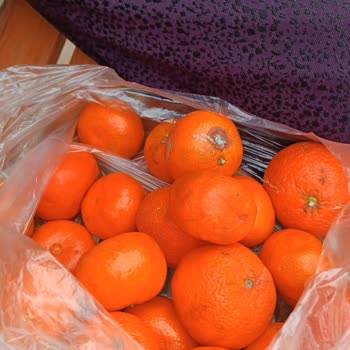 A101 Kapıda Çürük Sebze Getirip İademi Günlerdir Almaya Gelmedi