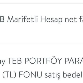 TEB Marifetli Hesap Portföy Kesintisi