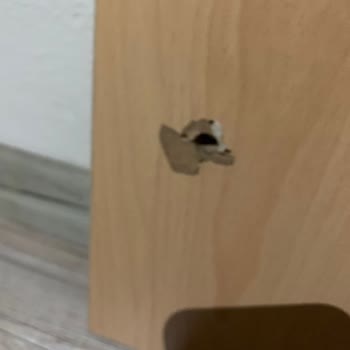 Ürün Kalitesizliği Ve İlgisiz Gen Pilates