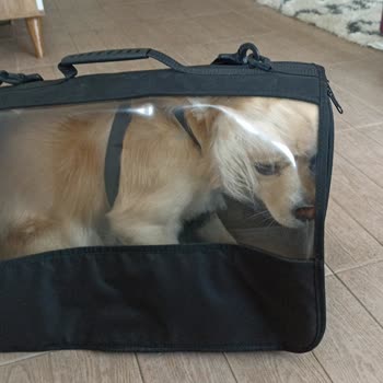 Torun Ziraat Tohumculuk Ürün İade Alınmadı