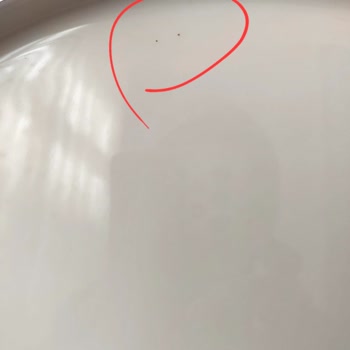 Porland Hatalı Ürün Kabul Ettirmeye Zorlayıp Müşterileri Mağdur Ediyor