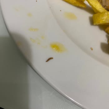 Cappy Meyve Suyunda Kurt Çıktı