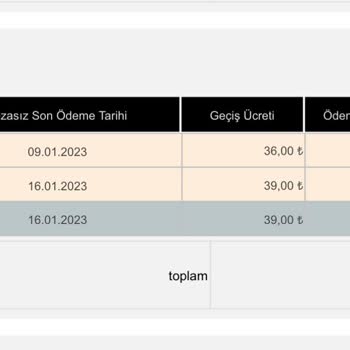 Avrupa Otoyol İşletmesi Avrupa Otoyolu Geçiş Cezası