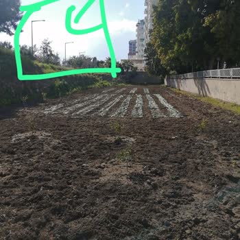 Tedaş Direklerdeki Patlak Lambalar Ve Aydınlatma Sistemi Watt Yetersizliği