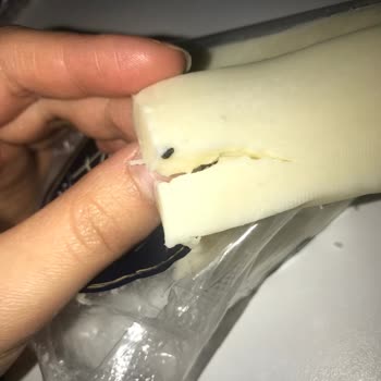 Ariste Peynir Peynir İçinde Çıkan Siyah Cisim