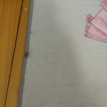 İlkim Halı Yıkama (Samsun) Kötü Hizmeti