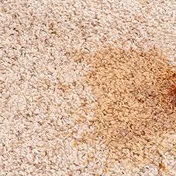 Koza Halı Yıkama Kötü Pis Halı Yıkama Yapıyor