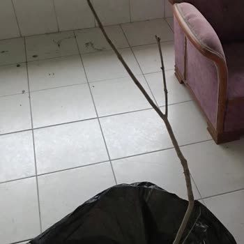 E-fidancım Site Satıştan Sonra Mesajlara Dönmüyor