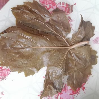 Alatat Salamura Özensiz Paket Kart Yırtık Damarlı Salamura Yaprak
