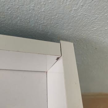 Modalife Sıfır Ürün Yerine Teşhir Eki Hasarlı Ürün Gönderdiler